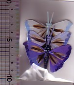 0000145